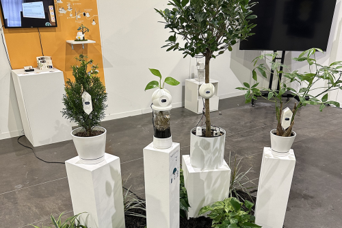 Four Treeborgs on display at the 2024 RISD Grad Show